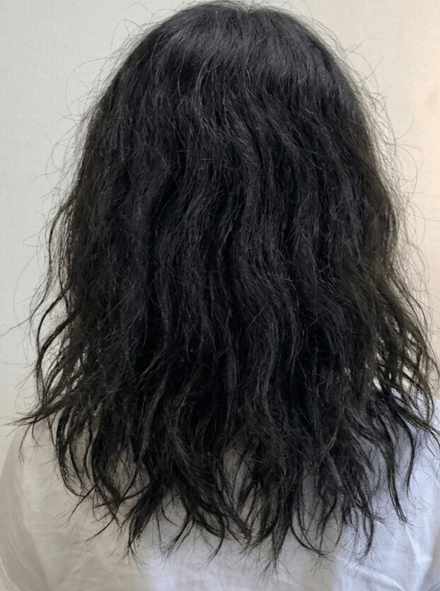 使用前の髪の状態